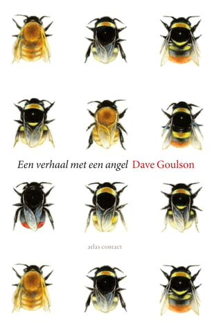 Een verhaal met een angel