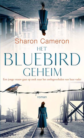 Het Bluebird geheim
