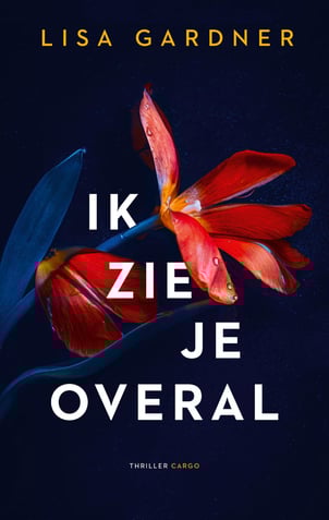 Frankie Elkin 3 - Ik zie je overal
