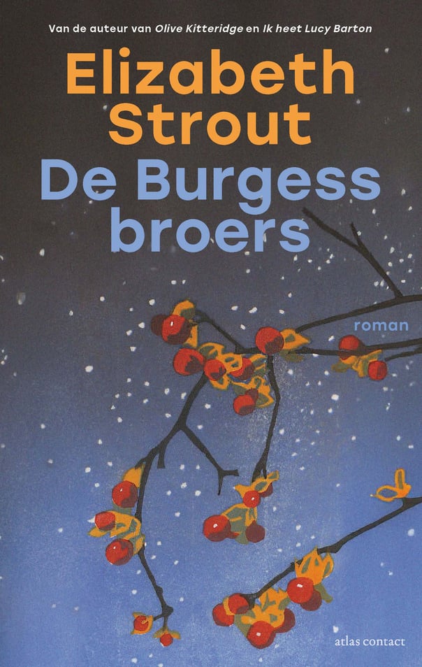 Lucy Barton 6 - De Burgess-broers