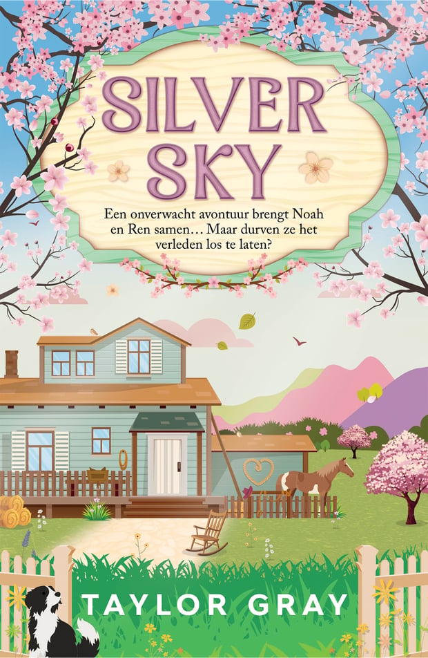 De Carter-broers 2 - Silver Sky