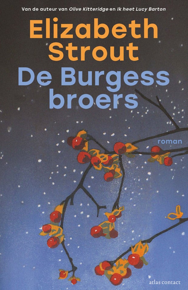 Lucy Barton 6 - De Burgess-broers Lucy Barton 6 - De Burgess-broers
