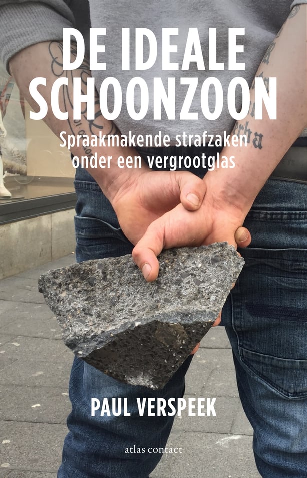 De ideale schoonzoon De ideale schoonzoon