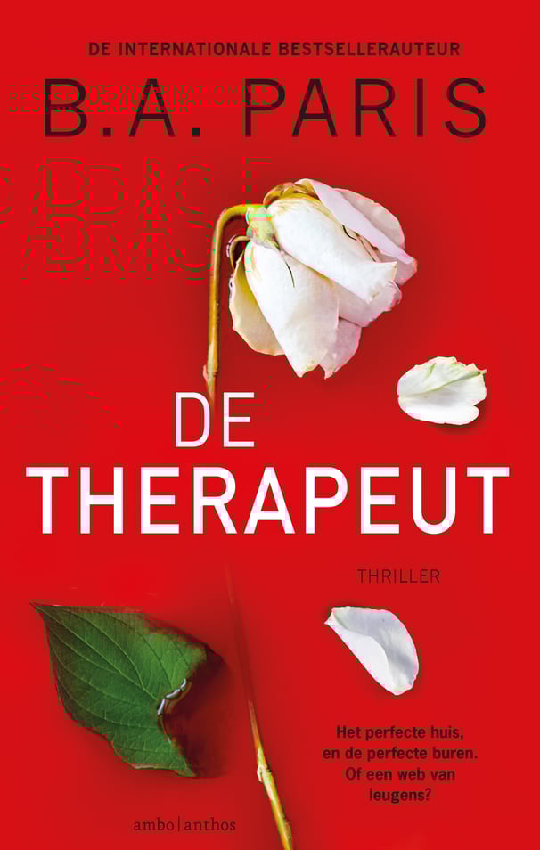 De therapeut De therapeut