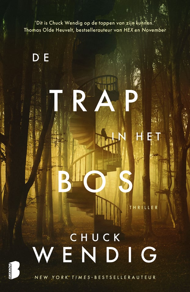 De trap in het bos De trap in het bos