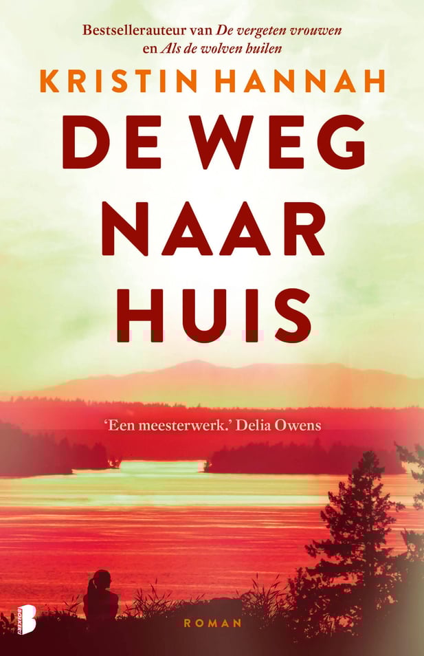 De weg naar huis De weg naar huis