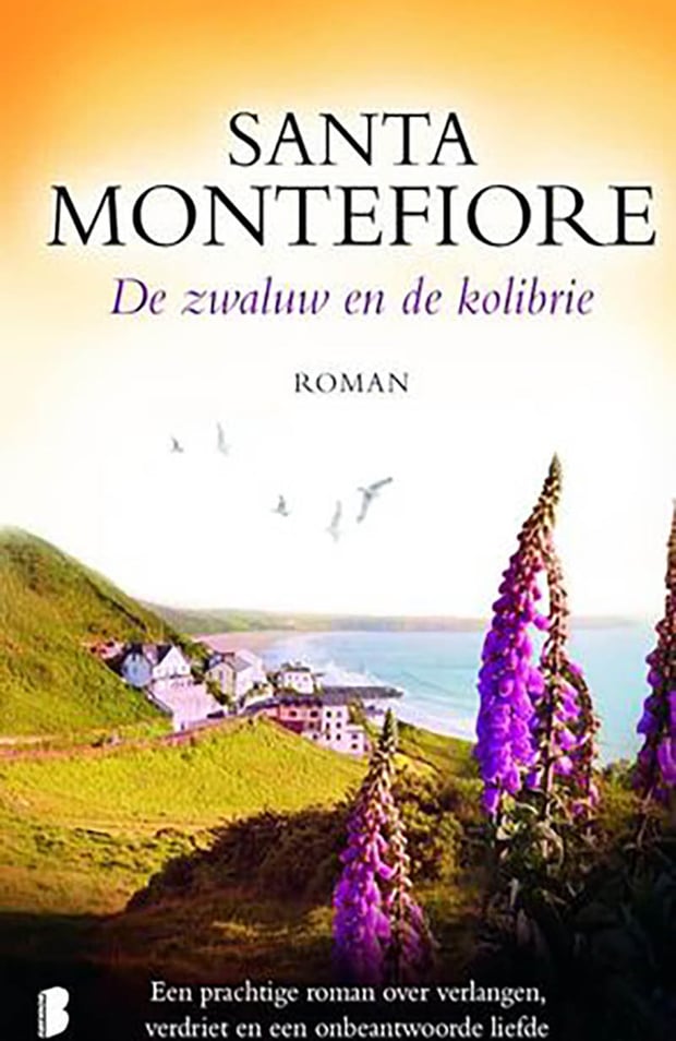 De zwaluw en de kolibrie De zwaluw en de kolibrie