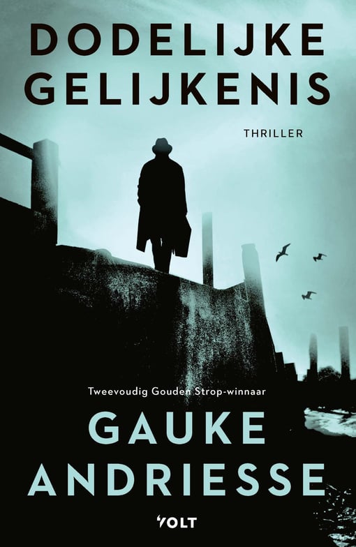 Leo Boorman 1 - Dodelijke gelijkenis Leo Boorman 1 - Dodelijke gelijkenis