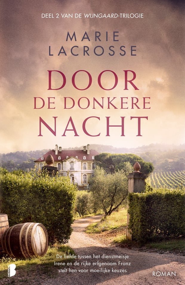 Wijngaard 2 - Door de donkere nacht Wijngaard 2 - Door de donkere nacht