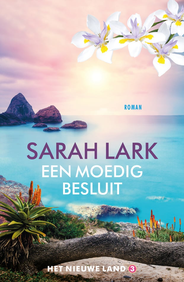 Het nieuwe land 3 - Een moedig besluit Het nieuwe land 3 - Een moedig besluit
