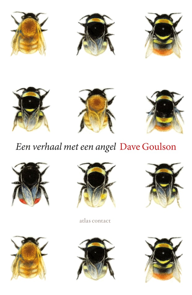 Een verhaal met een angel Een verhaal met een angel