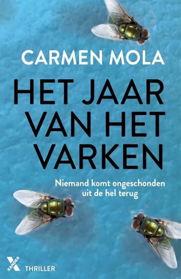 Het jaar van het varken Het jaar van het varken