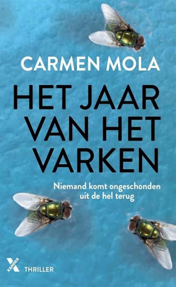 Het jaar van het varken Het jaar van het varken