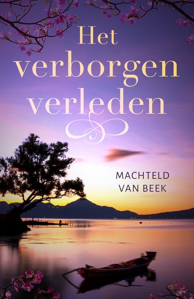 Het verborgen verleden Het verborgen verleden