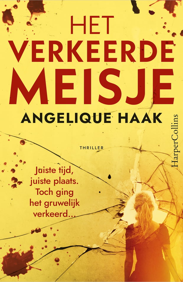Het verkeerde meisje Het verkeerde meisje