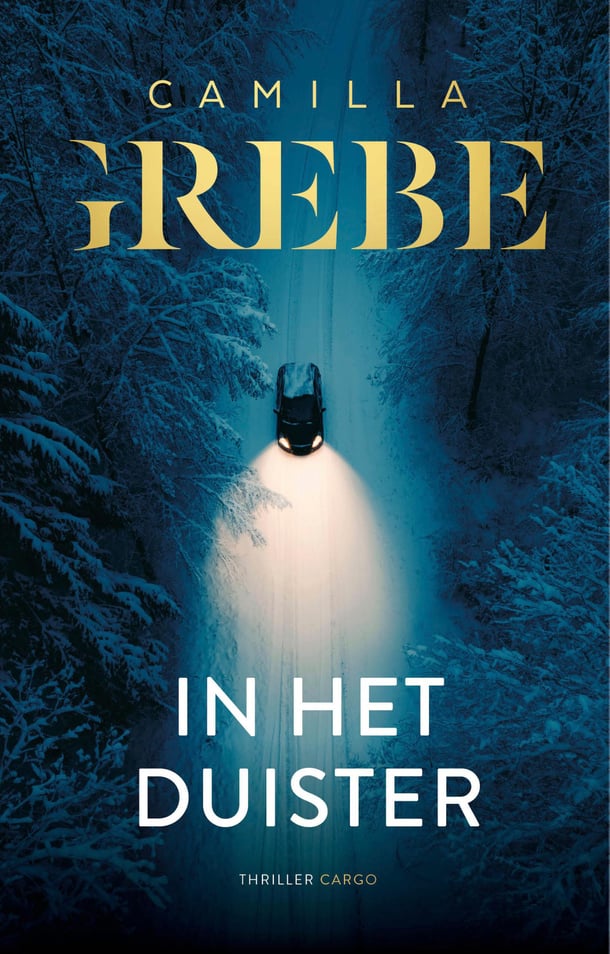 In het duister In het duister