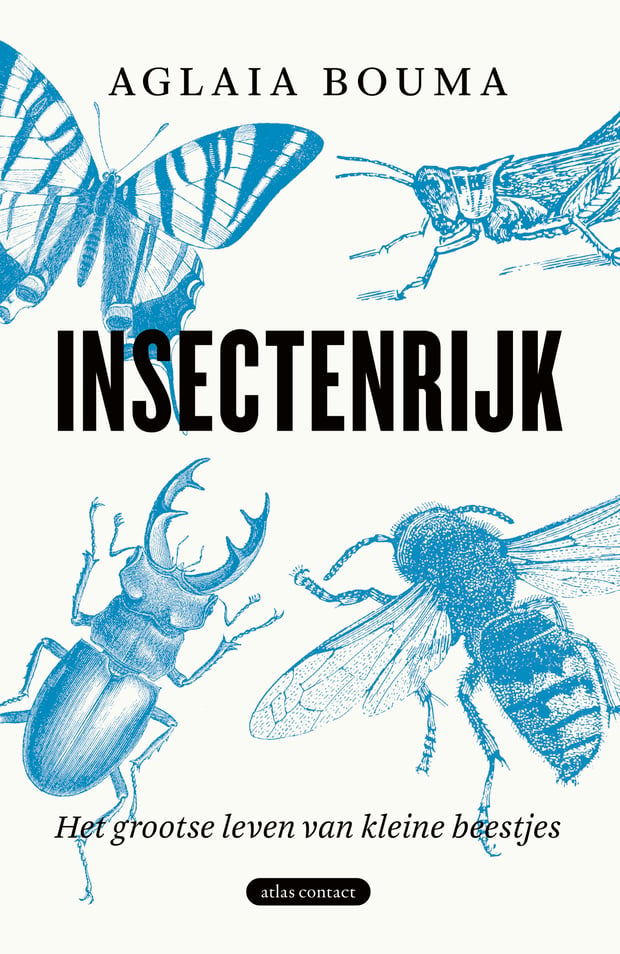 Insectenrijk Insectenrijk