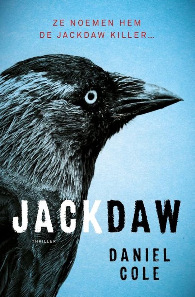 Jackdaw Jackdaw