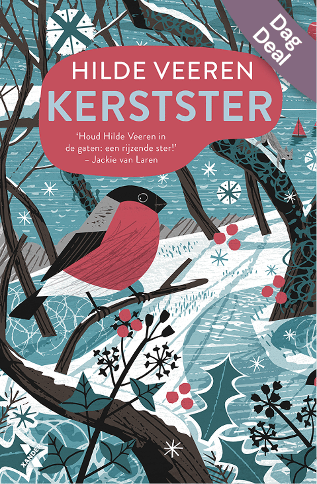 Cottage aan zee 4 - Kerstster Cottage aan zee 4 - Kerstster