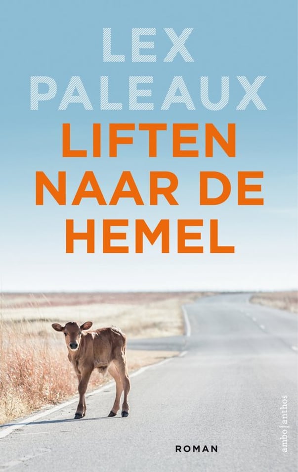 Liften naar de hemel Liften naar de hemel