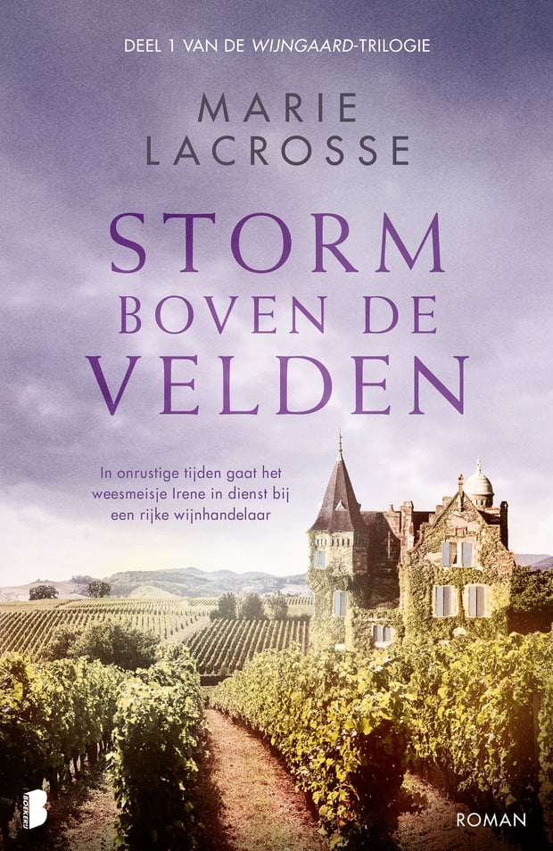 Wijngaard 1 - Storm boven de velden Wijngaard 1 - Storm boven de velden