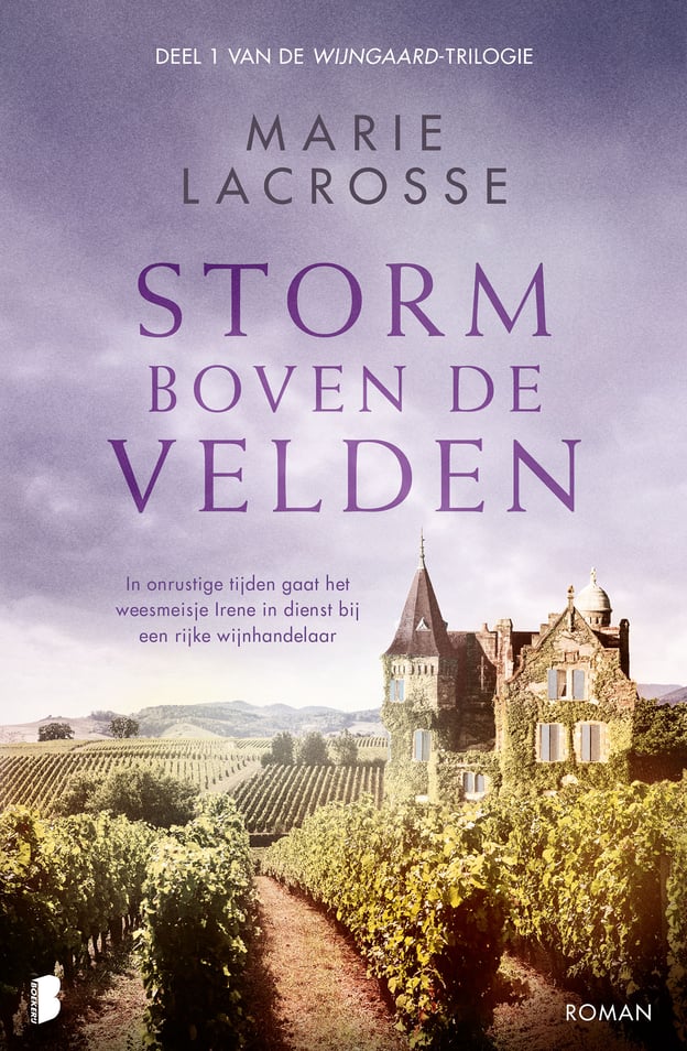 Wijngaard 1 - Storm boven de velden Wijngaard 1 - Storm boven de velden