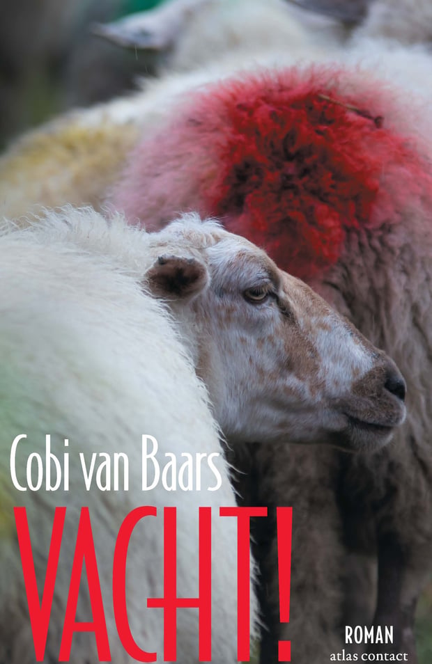 Vacht! Vacht!