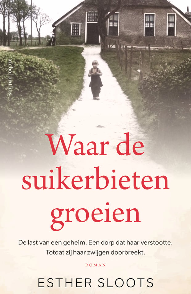 Waar de suikerbieten groeien Waar de suikerbieten groeien