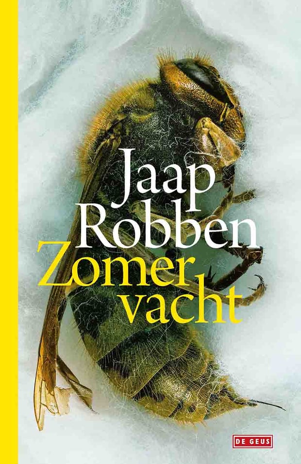Zomervacht Zomervacht