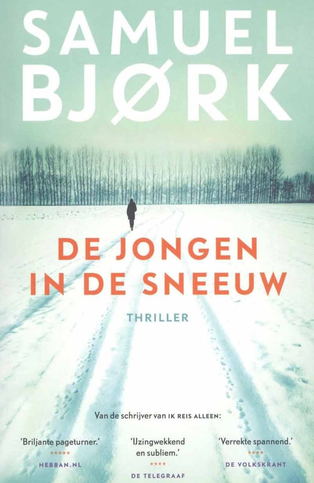 De jongen in de sneeuw De jongen in de sneeuw