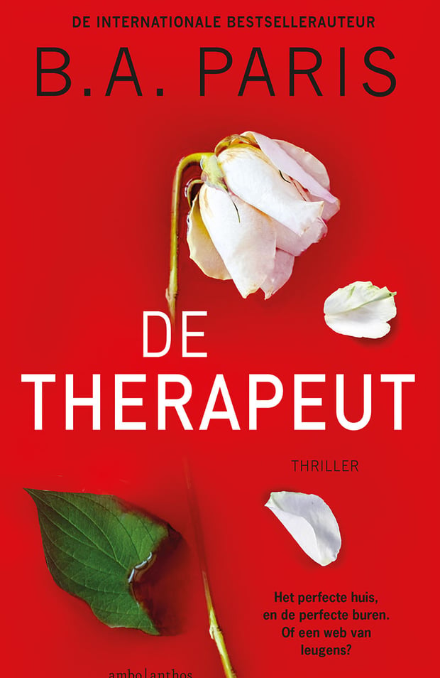 De therapeut De therapeut