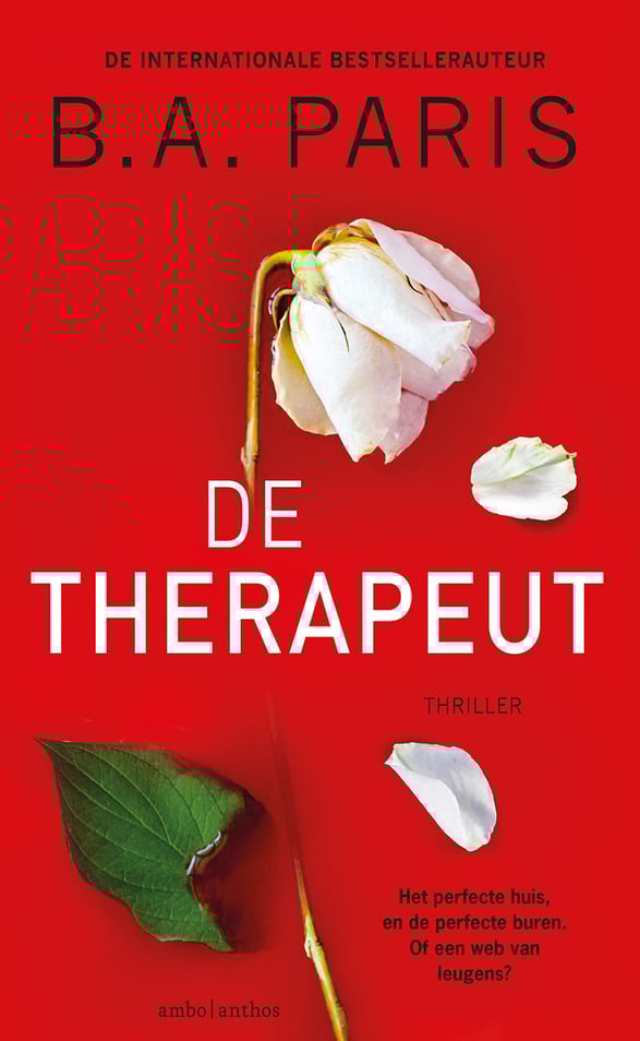 De therapeut De therapeut